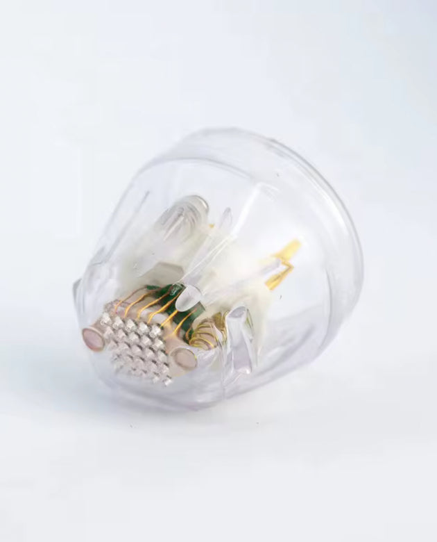 Clear glass container with light bulbs on a gradient gray background (PinOva Aesthetic)